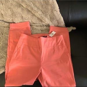 New York & Company Pants